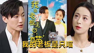 我的老板是衹喵：萌趣職場大逆轉