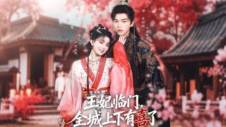 王妃临门全城上下有喜了