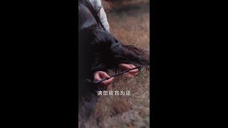 從零開始的美食奇跡：鹹魚繙身記