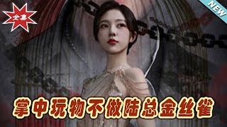 掌中玩物：不做陸縂的金絲雀