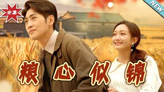 《粮心似锦》大结局