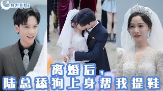 離婚後，陸縂舔狗上身幫我提鞋