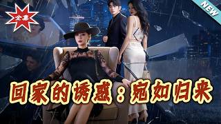 回家的诱惑：宛如归来