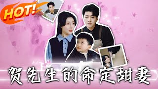 贺先生的命定甜妻
