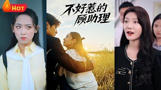 不好惹的顾助理