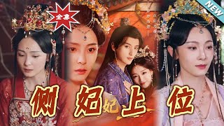 侧妃上位