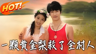 《山野小邪医：一颗黄金梨救全村》