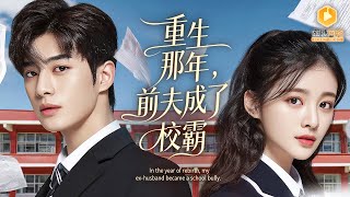 重生校园：偏执少年追妻日常