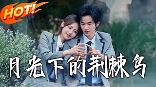 月光下的荆棘鸟