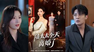 Today, Mrs. Lu Got Divorced