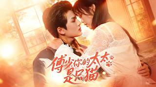 傅少，你的太太是只猫