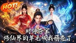时停夺宝，修仙界的羊毛被我薅秃了