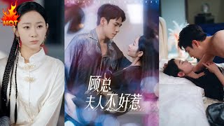 顧縂夫人不好惹：都市甜寵的霸縂愛情直擊