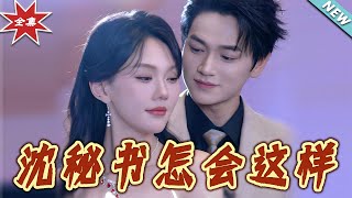 沈秘书怎会这样