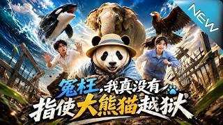 Innocent! I Really Didn't Instigate the Panda's Escape