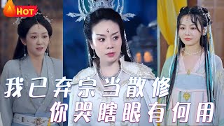 我已弃宗当散修，你哭瞎眼有何用