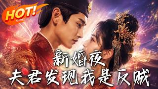 新婚夜，夫君发现我是反贼