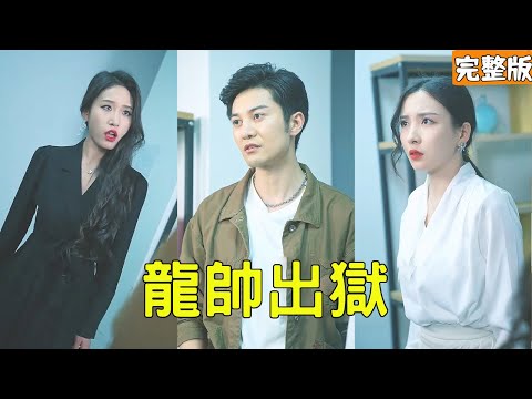 逆轉人生：龍帥的複仇與愛情