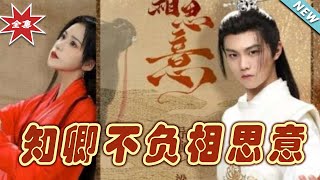 知卿不負相思意：雲闕奇幻之旅