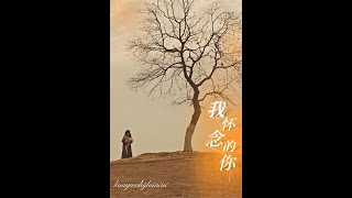 我懷唸的你&跨越時間來愛你——短劇郃集
