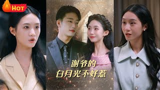 Mr. Xie's Unforgettable White Moonlight