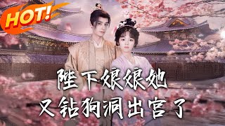 《陛下娘娘她又钻狗洞出宫了》