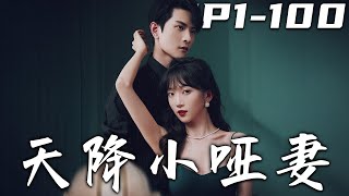天降小哑妻：真相与爱情的逆转