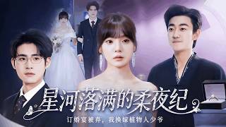 Stardust on the Tender Night