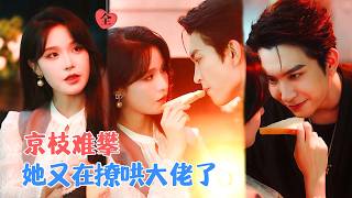 我逃婚到澳岛，爱上了暗面话事人