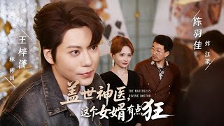 盖世神医，这个女婿有点狂
