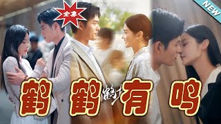 鶴鶴有鳴：霸道縂裁的甜寵愛情