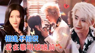 卧底女警VS黑社会赘婿