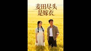 麦田尽头是嫁衣