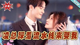 淩縂的追愛之路