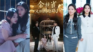 金絲雀的反擊