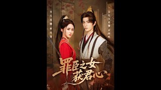 罪臣之女獲君心