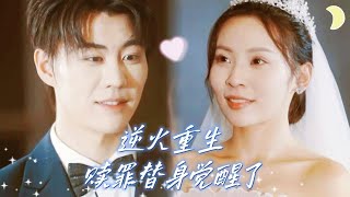 逆火重生：我的十年复仇记