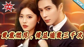 爱意燃尽，傅总追妻三千次