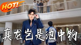 真龙岂是池中物