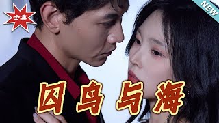 囚鸟与海