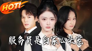 The Waitress: The Bai Family's Beloved