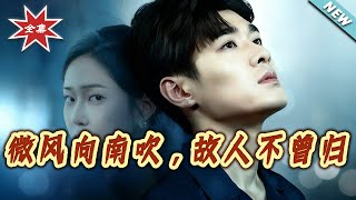 微风向南吹，故人不曾归