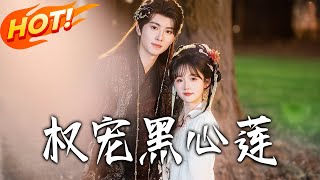 权宠黑心莲
