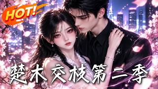 楚木交枝第二季