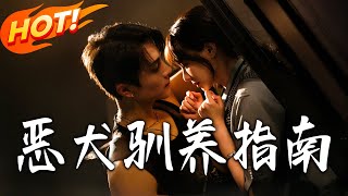 《恶犬驯养指南》第1~40集【高清完结合集】丨暴雨夜东南亚，雷奥腹受枪伤坠垃圾堆，血镜下忆父被叛杀，