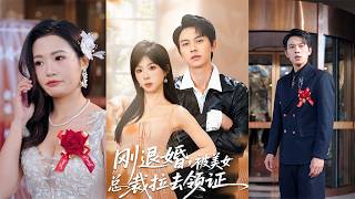 刚退婚就被美女总裁拉去领证