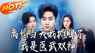 离婚当天我摊牌了，我是医武双神