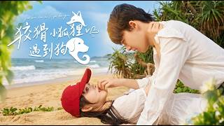 Cunning Little Fox Meets the Loyal Dog