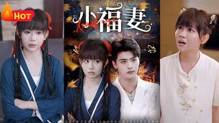 小福妻：逆轉人生的甜蜜奇緣