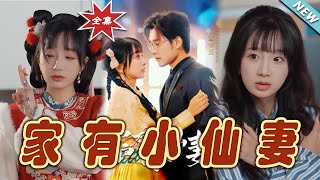 家有小仙妻